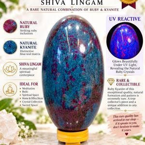 Large Ruby Kyanite Shiva Lingam-Rare UV Reactive Ruby Lingam-Spiritual Crystal Decor-Collector’s Display (273 mm)