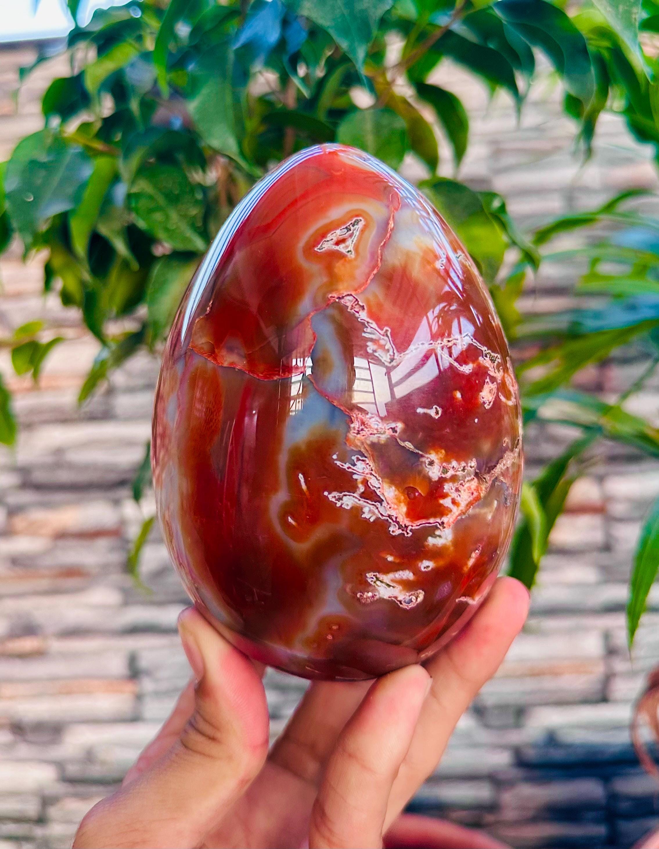 【カーネリアン】 エッグ ② CARNELIAN EGG Carnelian Agate Egg Shaped Stone Carving 2 inch Orange