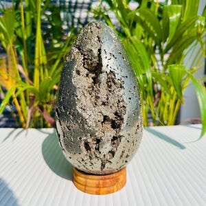 Op de afbeelding: Een pyriet geode ei, gepolijst tot een metallic glans, staat op een kleine houten standaard. De geode heeft een ruw, getextureerd interieur met zichtbare kristalformaties. De achtergrond heeft groen gebladerte.