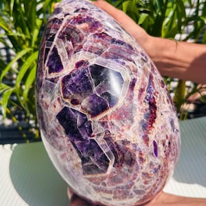 May include: A large, polished amethyst crystal egg. The egg-shaped stone features a complex pattern of deep purple, white, and reddish-brown hues. The crystal is held in a person's hands, with green foliage in the background.