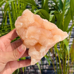 Könnte beinhalten: Ein pfirsichfarbener Kristallcluster mit einer rauen, strukturierten Oberfläche. Die Mineralformation wird in einer Hand gehalten, mit grünem Laub im Hintergrund. Der Kristall hat eine natürliche, organische Form und einen weichen, warmen Farbton.