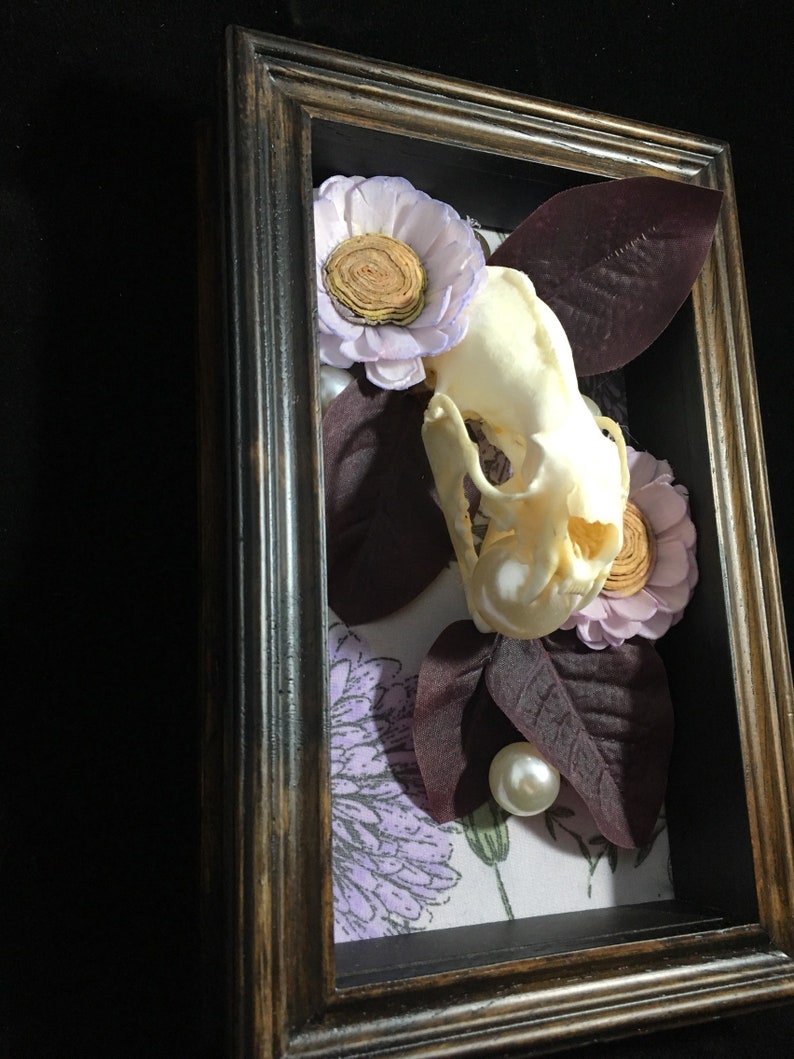 Real mink skull Lovely.