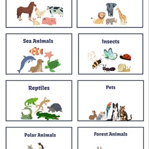 May include: A set of illustrated cards featuring various animal categories. The cards include "Farm Animals," "Jungle Animals," "Sea Animals," "Insects," "Reptiles," "Pets," "Polar Animals," and "Forest Animals." Each card displays a collection of related animal illustrations.