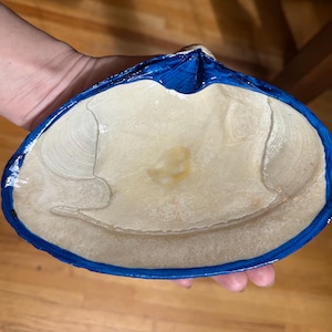 Clamshell Jewelry or Trinket Dish