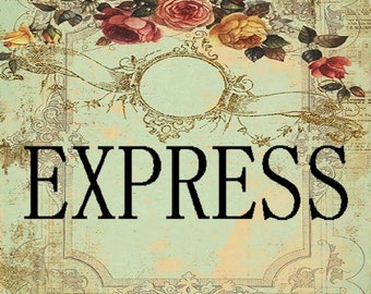 EXPRESS SHIPPING ( please leave your phone # for shipping must )