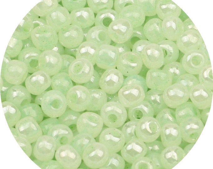 Seed Beads