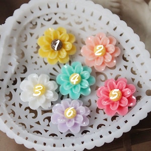 10pcs New   Beautiful Colorful Gerbera Flower Resin Cabochon   -13mm -CAB-DJ