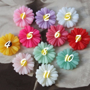 10pcs  Beautiful  Colorful Gerbera  Flower Resin Cabochon   --14mm(CAB-AUA)