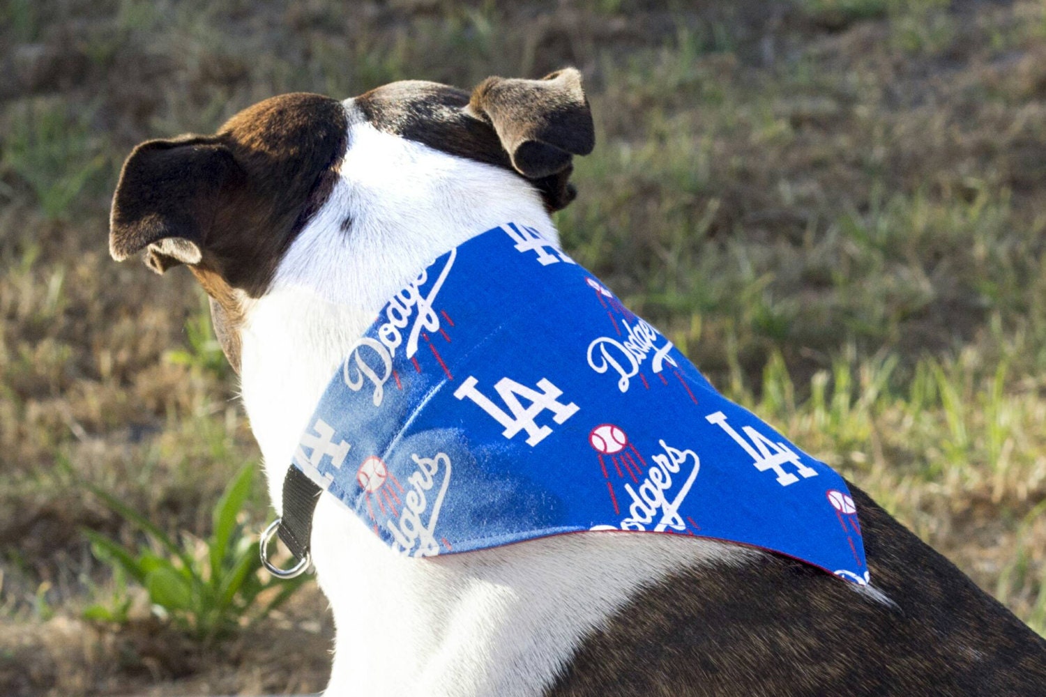 LA Dodger's MLB Dog Bandana Los Angeles Dodgers Dodger 