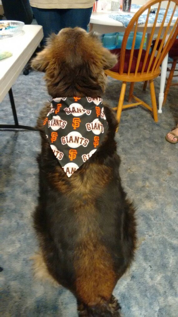 SF Giants MLB Dog Bandana Giants Dog Bandana Sports Dog 