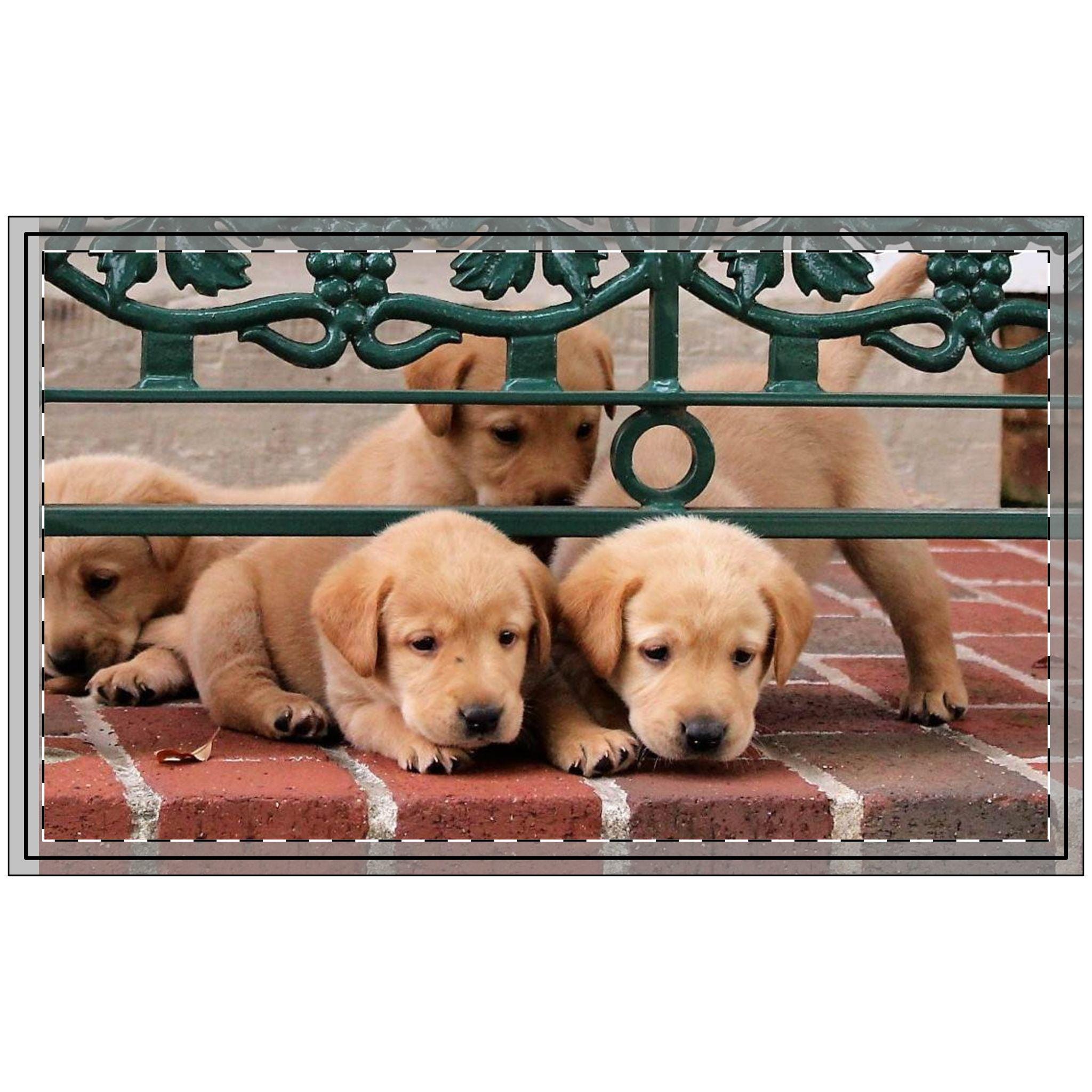 Cute Puppy Polyester Doormat | Personalized Pet Welcome Mat, Animal Lover Gift, Home Decor, Indoor/Outdoor Use, New Home Gift
