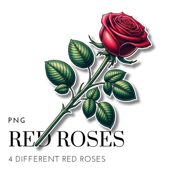 Red Rose PNG Bundle – Valentine's Day Clipart, Simple Flower