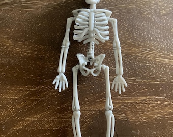 1:12 Dollhouse Miniature Skeleton with movable legs Halloween