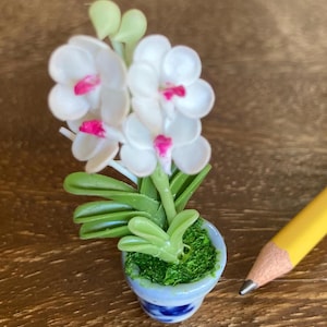 1:12 Dollhouse Miniature White Orchids in a Porcelain Pot