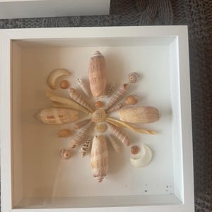 May include: A white framed shadow box featuring a seashell arrangement. The arrangement is a starburst design with various seashells in shades of beige, tan, and white. The frame is square and has a clean, modern aesthetic.