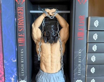 Angolo lettura di Malachi Vize / Stampa 3D ispirata a Little Stranger/Little Liar / Merchandising dark romance