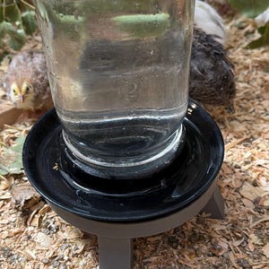 Pode incluir: Um dispensador de água de vidro transparente invertido sobre uma base circular de plástico preto com três pernas cinzentas curtas. O dispensador está cheio de água e assenta sobre uma cama de aparas de madeira, rodeado por pequenas aves.
