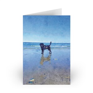 Black Lab Ocean-wenskaart