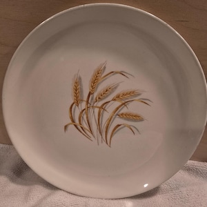 Golden Wheat 22k Gold Rimmed Dinner Plates - Set of 6