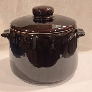 May include: A dark brown ceramic pot with a matching lid and a small, rounded handle. The pot has two side handles and a glossy finish, reflecting the surrounding light. This kitchenware item is suitable for cooking and serving.