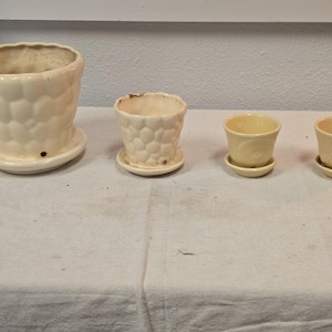 Puede incluir: Cuatro macetas de cerámica color crema de varios tamaños, cada una con un platillo a juego. La maceta más grande tiene un patrón texturizado similar a burbujas, mientras que las más pequeñas tienen diseños lisos o en relieve. Para plantas pequeñas.