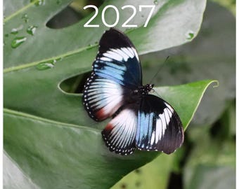 Calendario de mariposas 2027 - Fauna europea mural 21 x 21 cm