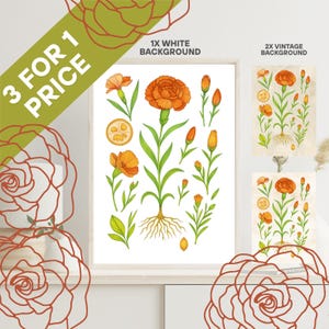 Art mural oeillet, décoration murale oeillet, affiche florale, affiche oeuvre d'art florale, impression numérique, décoration murale fleurs, impression botanique