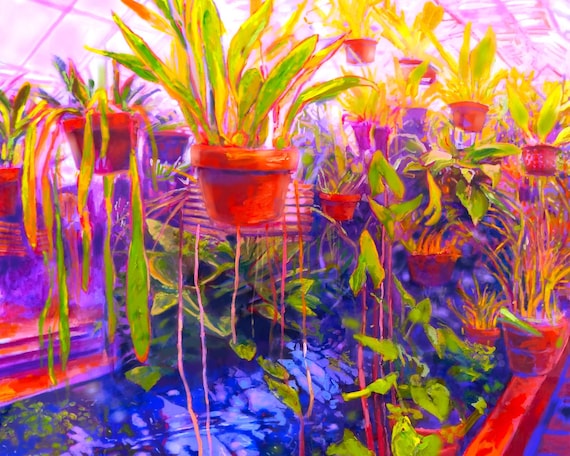 Rainforest Greenhouse Art Print, Luscious Botanical Giclée