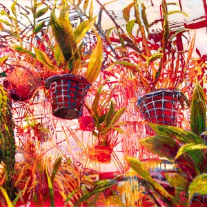 Greenhouse Tender Art Print of luscious pink and green Botanical Garden painting