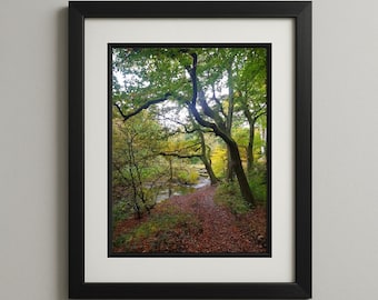 Herbstwald