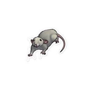 Sassy Rat Sticker - Bubble-Free Vinyl Decal for Rat Moms & Mischief Makers