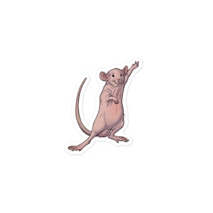Hairless Rat Vinyl Sticker - Celebrate Your Naked Buddy!