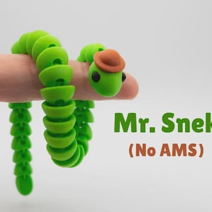 May include: A bright green articulated snake toy with a small brown hat on its head and black eyes. The text Mr. Snek (No AMS) is printed in green and brown next to the snake. The snake is composed of multiple connected segments.