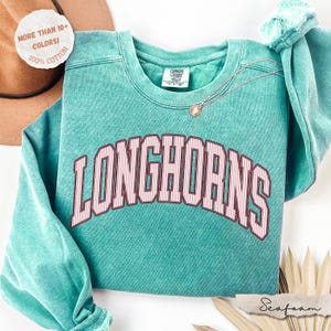 Comfort Colors® Custom Mascot Sweatshirt, School Spirit Sweatshirt, Personalized School Mascot Sweatshirt, Team Mascot Game Day Sweatshirt image 13