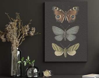 Lámina vintage de mariposas y polillas: Arte entomológico de Dark Academia (Descarga digital)