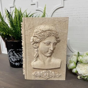 Hardback Book Stack, French Book Stack, Fluer De Lis Decor, Farmhouse Book Stack, Book Decor, Decorative Books, Mantle Decor