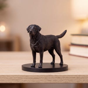 Custom Pet Miniature Figurine | Hand-Finished Dog Cat Memorial Keepsake Bild 7