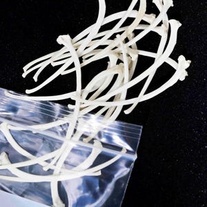 Peut inclure: Une collection de petits os d'animaux incurvés, de couleur blanc cassé, dispersés partiellement à l'intérieur et à l'extérieur d'un sac en plastique transparent refermable. Le sac porte l'inscription manuscrite L-25 sur la partie inférieure.