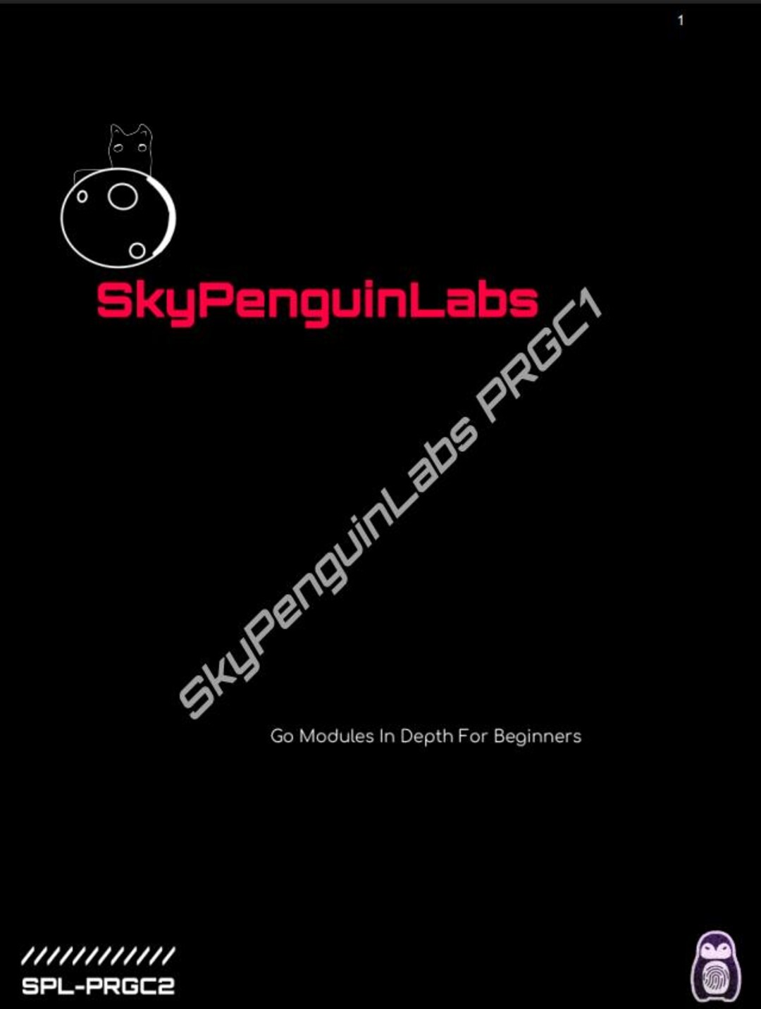 PRGC1 - Go Modules in Depth for Beginners - Etsy