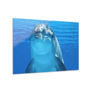 0 Acrylic Wall Art Dolphin Ocean Print | Modern Coastal Sea Life Decor | Elegant Marine Photography for Home or Office