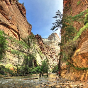 Riverside Trail in Zion National Park, Utah - 24x16 inch vertical (portrait) print