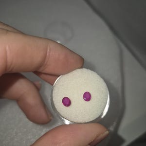 Könnte beinhalten: Zwei kleine, oval geformte, leuchtend pinke Edelsteine sind in eine kreisförmige weiße Schaumstoffeinlage eingesetzt. Die Schaumstoffeinlage befindet sich in einem durchsichtigen, runden Kunststoffbehälter, der die beiden losen Steine sicher hält.