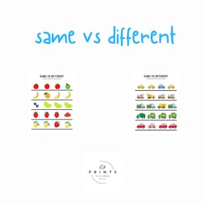 Learning Activity, Toddler, Preschool, Same, Different, Numbers, Letters, Colors, Objects