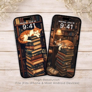 Cozy Bookish Cat Phone Wallpaper, Aesthetic Library Background, iPhone Android