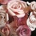 see more listings in the paper flowers section