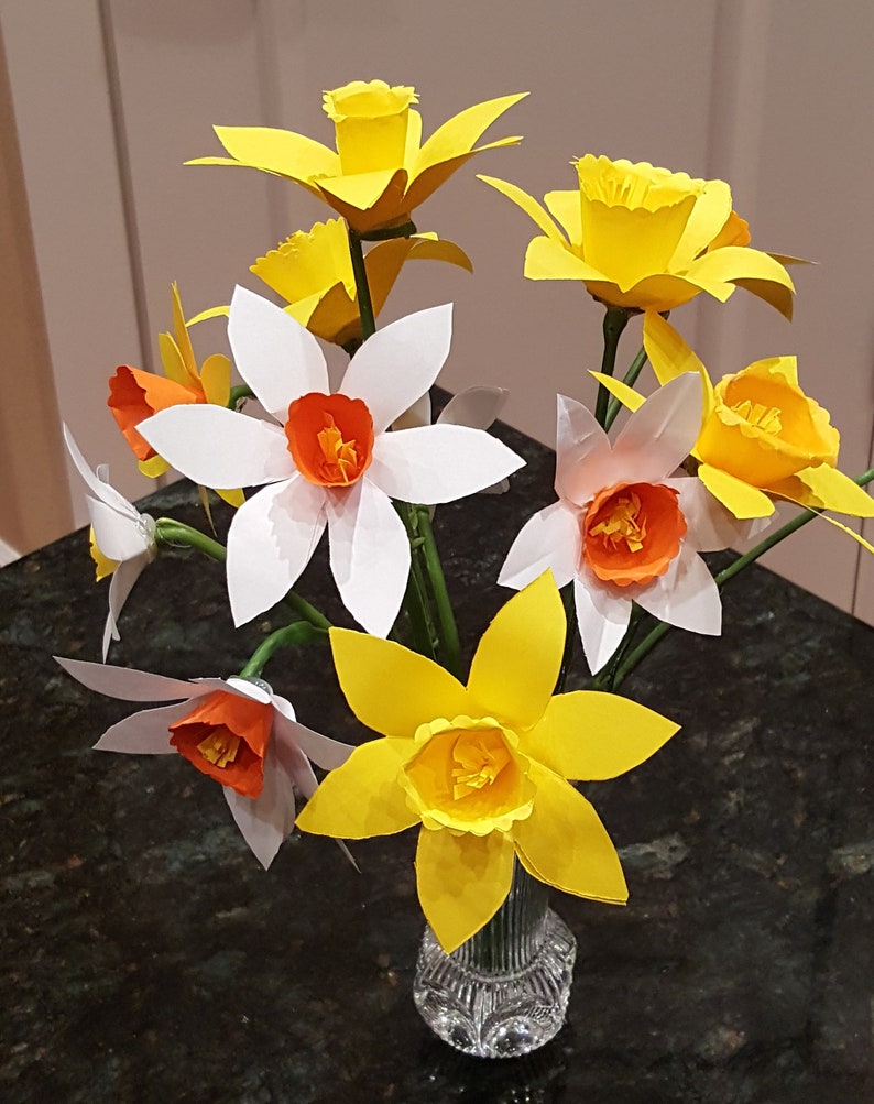 One single stem of paper daffodils narcissus jonquils spring | Etsy