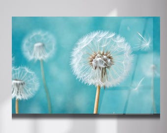Dandelion Wall Art, Turquoise Blue Botanical Print, Tempered Glass (Ready to Hang)