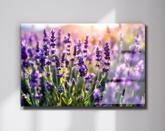Lavender Field Tempered Glass Wall Art, Countryside Landscape Print, French Farmhouse Decor