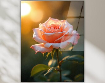 Peach Rose Tempered Glass Wall Art, Romantic Floral Botanical Decor