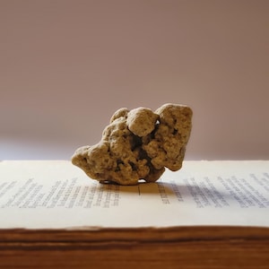 Australian White Sand Fulgurite: Petrified Lightning Glass, Rock Collecting